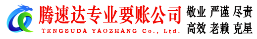 孝南腾速达清债公司